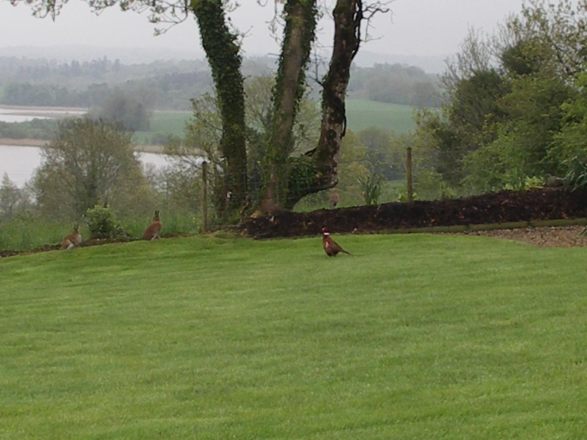 Willowbank House Enniskillen Zewnętrze zdjęcie